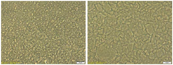Optical micrograph showing the smaller gel particle size in a PURESIL™ elastomer gel (left) compared to a competitive product (right). Elastomer Gels Smaller gel particles for superior sensory attributes