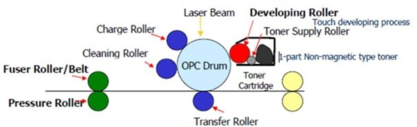 The roller set inside a printer or copier is quite complex, as can be seen in the diagram above.