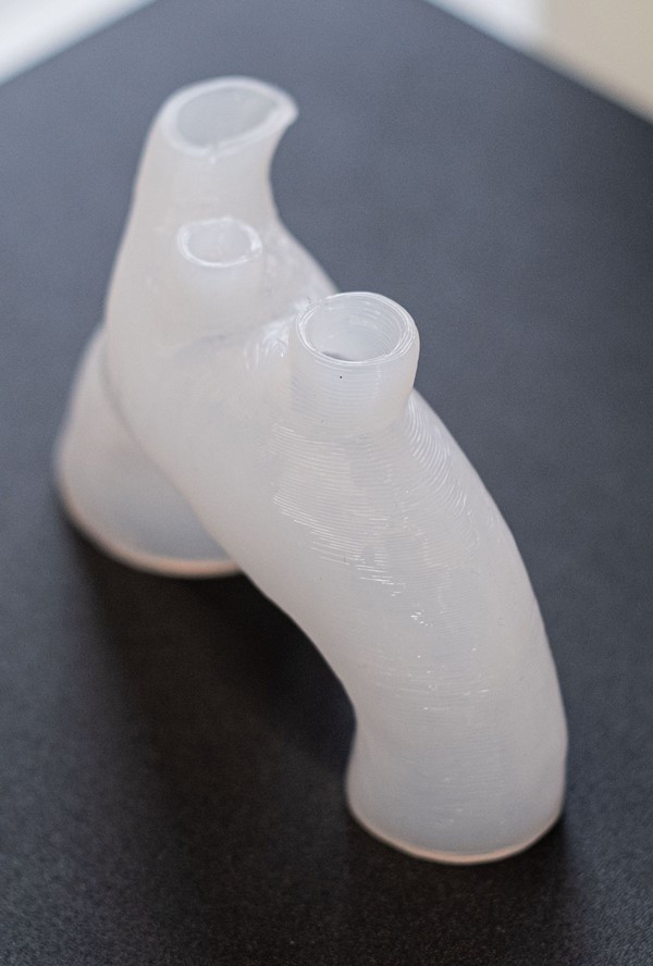 3D printed body part