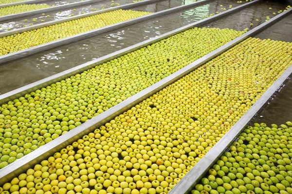 Antifoaming and defoaming solutions to improve processing in the Food industry