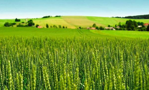 Silicone antifoam agents improve crop care science