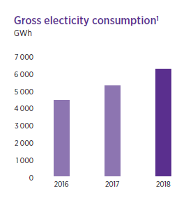Gross electricity consumption