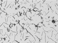Observation au microscope du graphite de type C (kish)