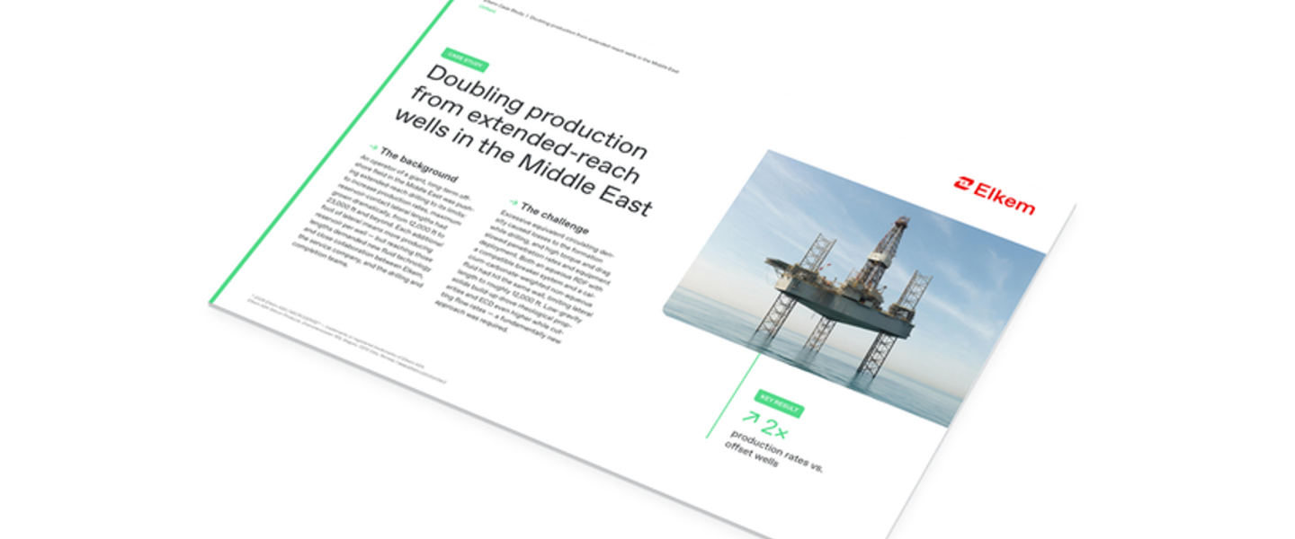 Microdense Middle east ERD Case study
